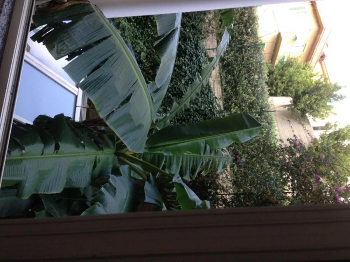 Apartment Casa Borelli Messina